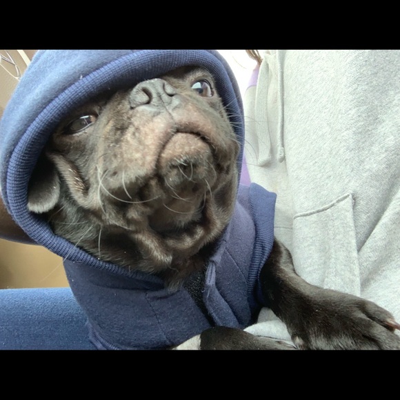 ⭐️⭐️CHECK OUT 💥⚡️✨💫 - Picture 5 of 8